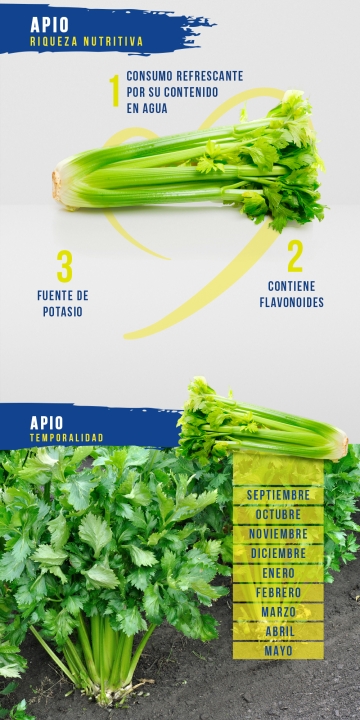 Apio
