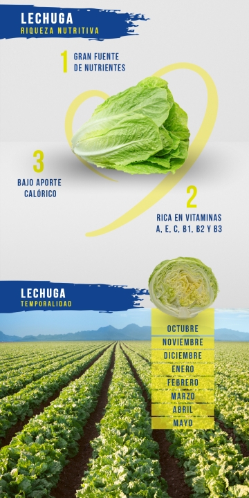 Lechuga