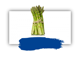 Asperge Verte